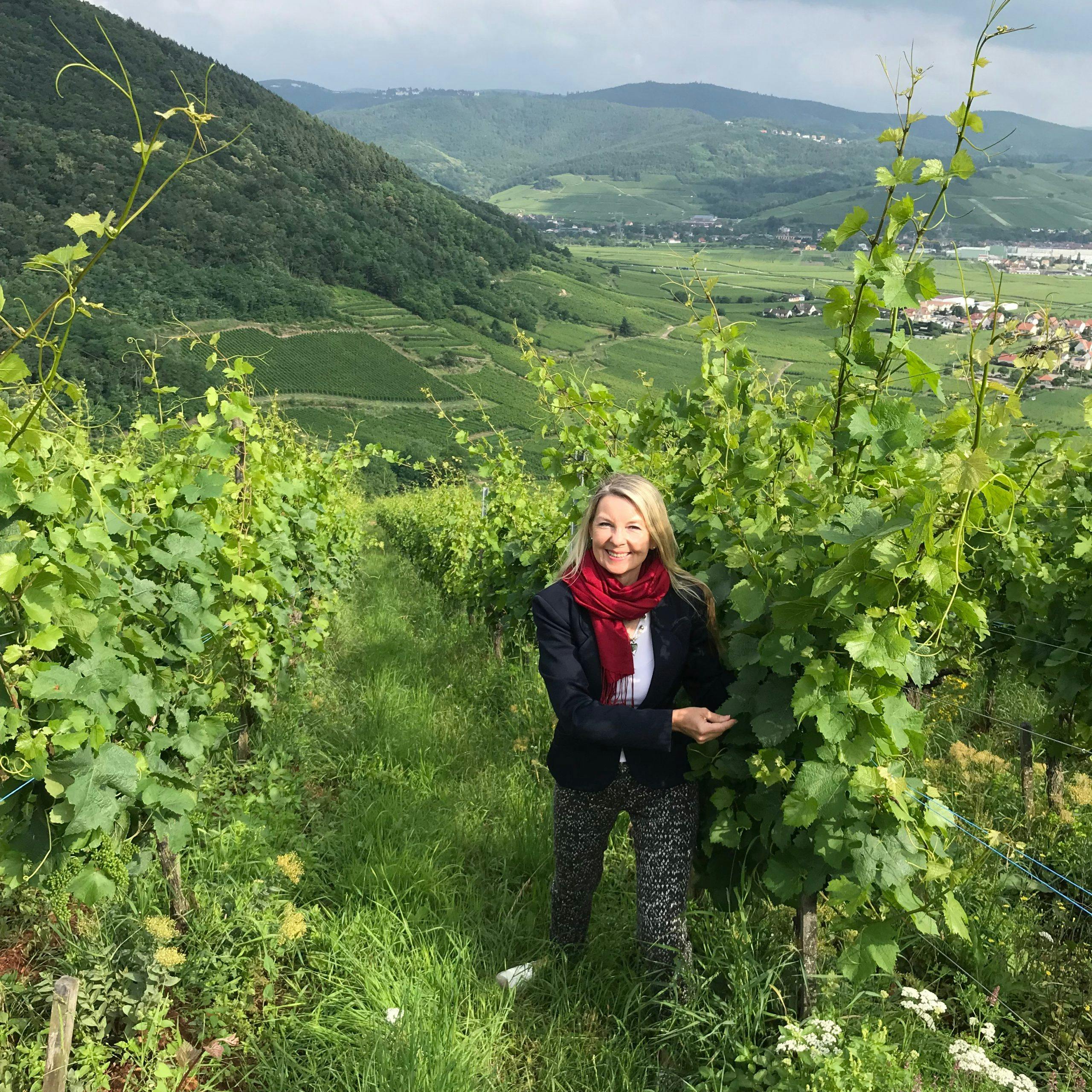 Kjent for sine kvalitetsviner riesling vin gunnhild bjørnsti